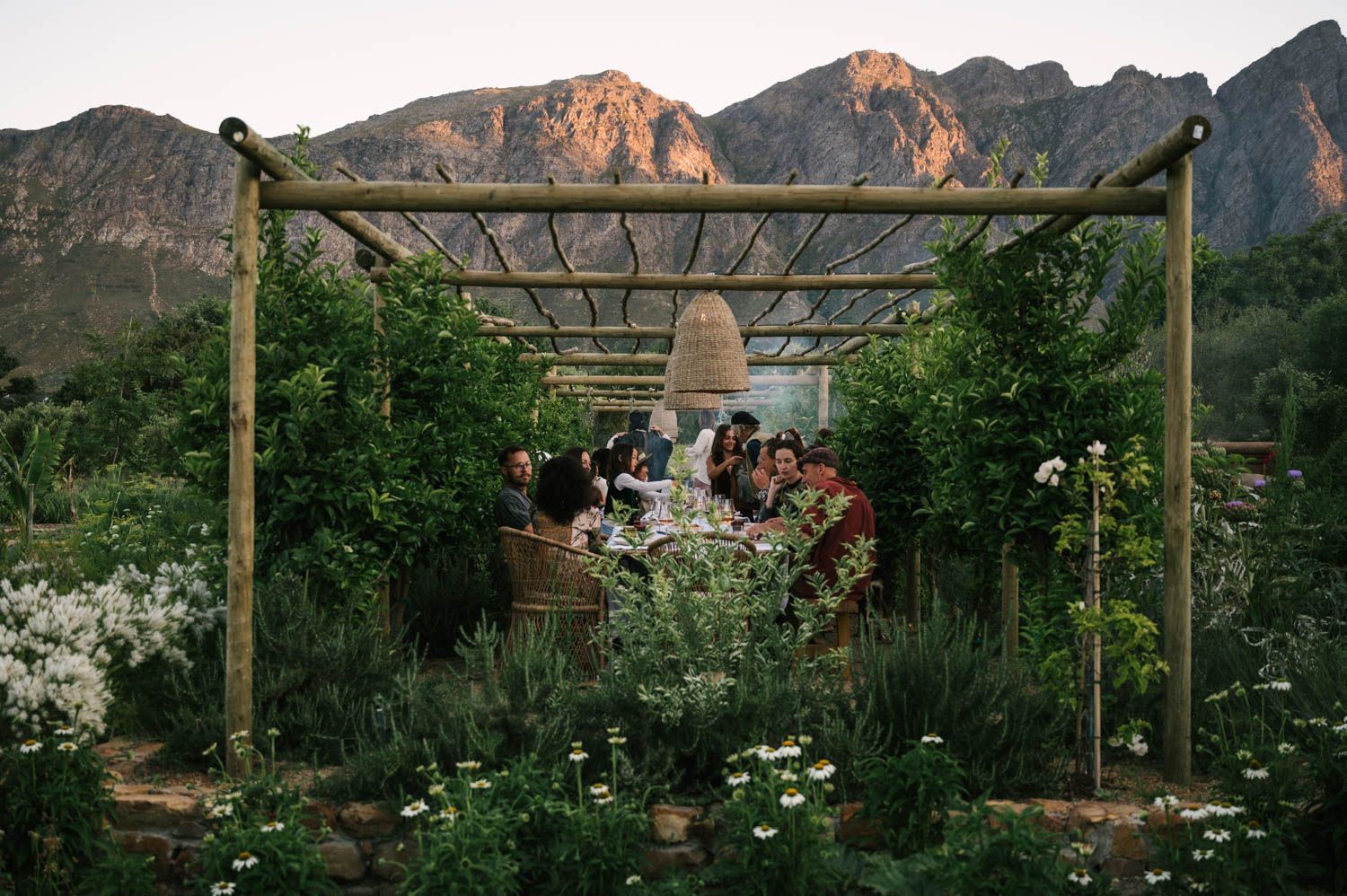 Image may contain Giovanni Ribisi Elena Arzak Plant Potted Plant Architecture Building House Housing and Porch