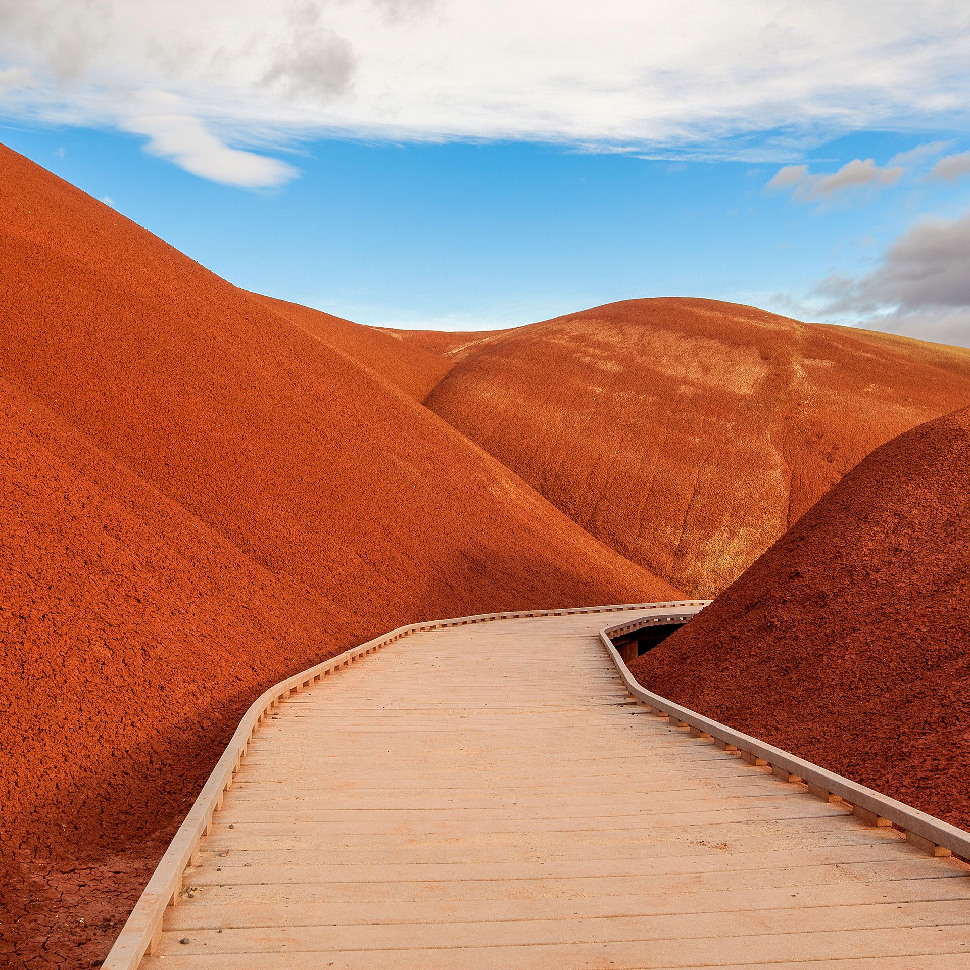 Travel Without Limits