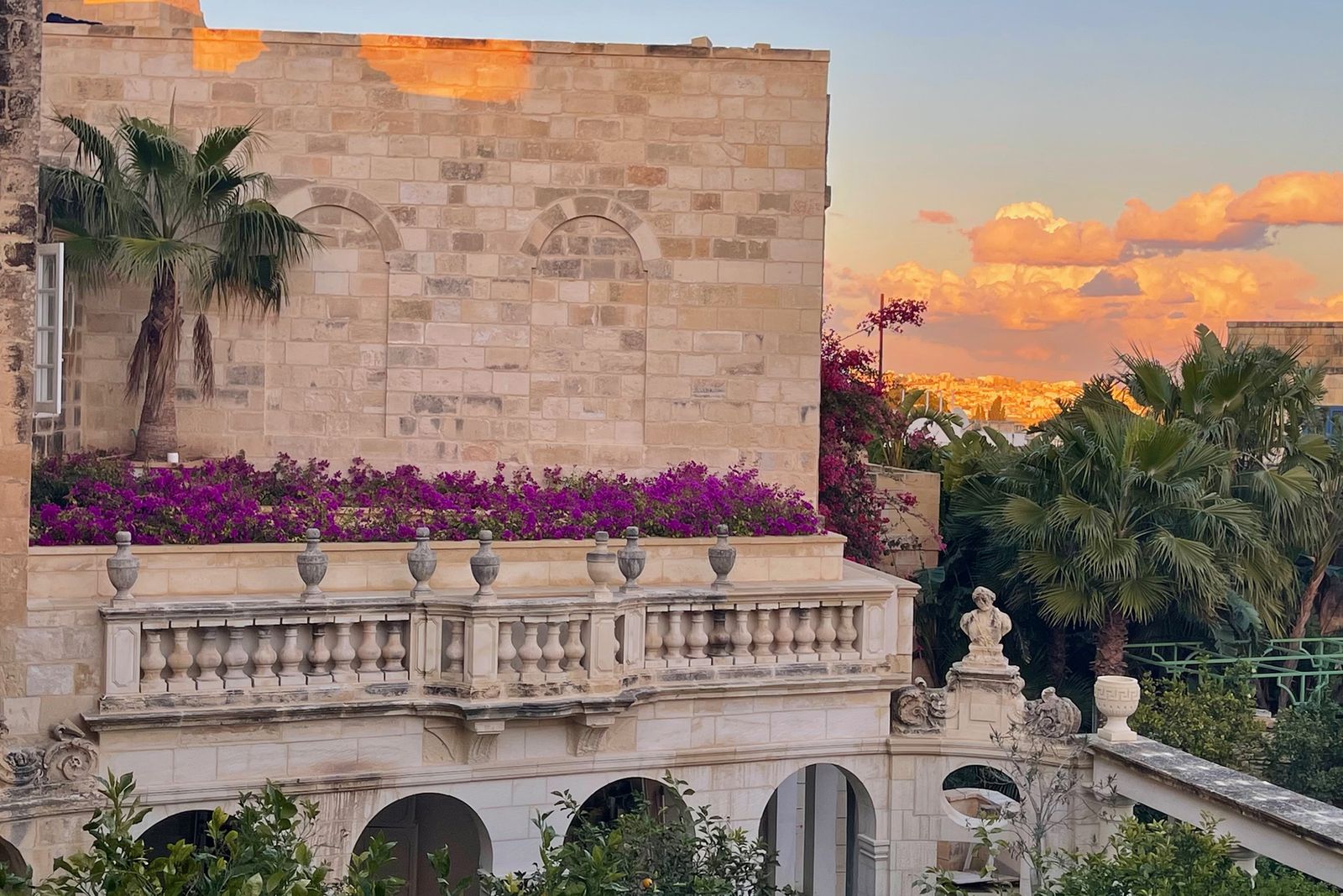 Image may contain Plant Potted Plant Architecture Building Cityscape Urban and Person