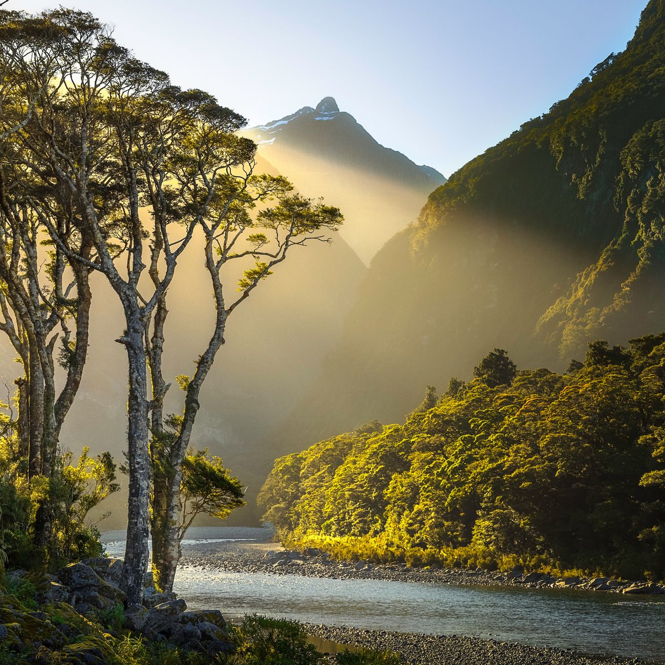 New Zealand is launching a new four-year Golden Visa
