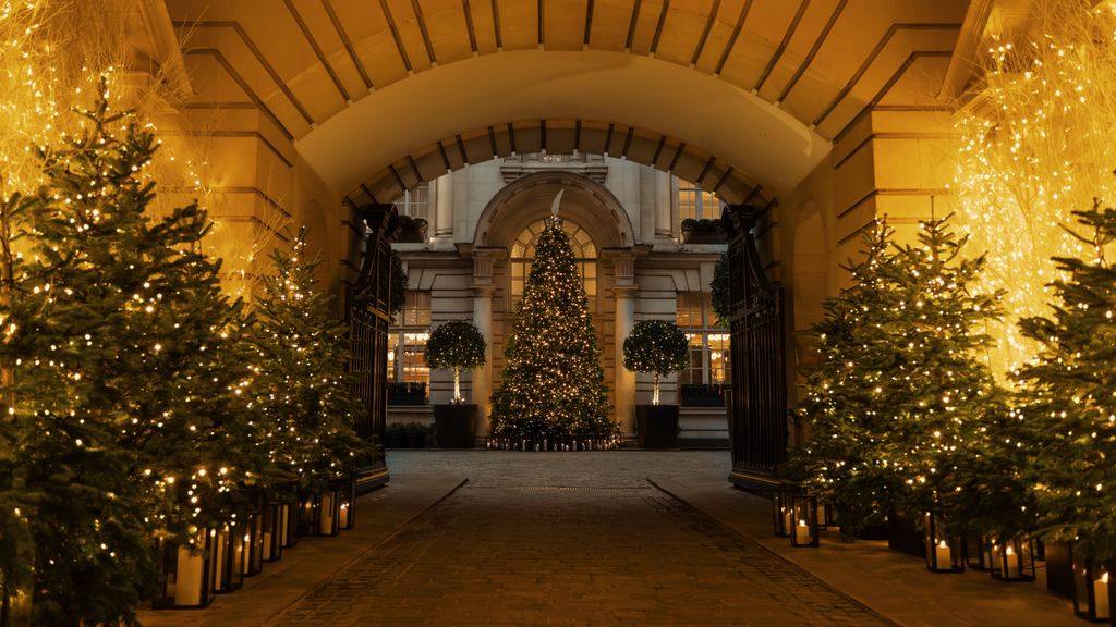 Image may contain Christmas Christmas Decorations Festival Christmas Tree Christmas Tree Ornaments and Plant