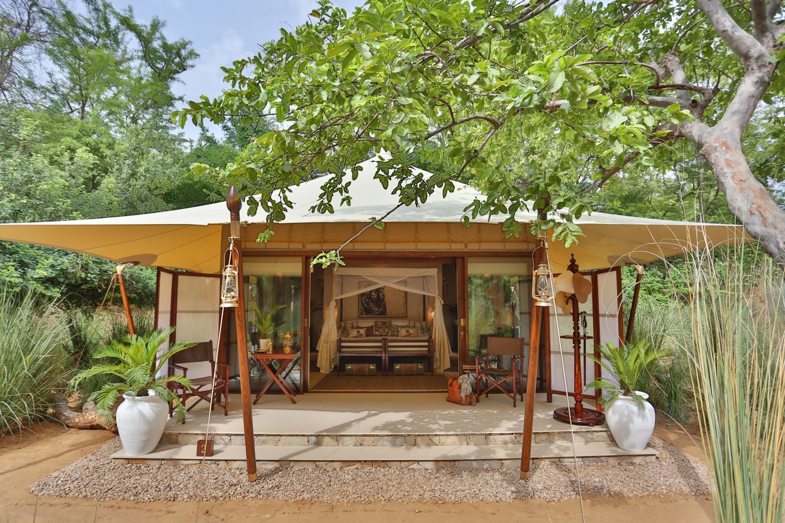 SUJÁN Sher Bagh, India